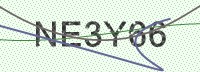 Enter CAPTCHA Image