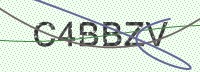 Enter CAPTCHA Image
