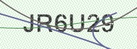 Enter CAPTCHA Image