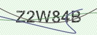 Enter CAPTCHA Image