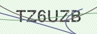 Enter CAPTCHA Image