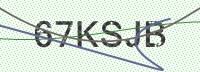 Enter CAPTCHA Image