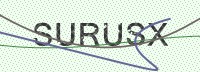 Enter CAPTCHA Image
