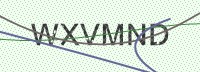 Enter CAPTCHA Image