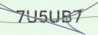 Enter CAPTCHA Image