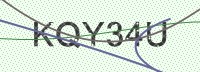 Enter CAPTCHA Image