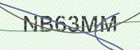 Enter CAPTCHA Image