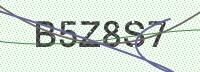 Enter CAPTCHA Image