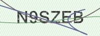 Enter CAPTCHA Image