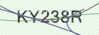 Enter CAPTCHA Image