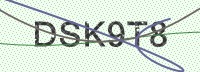Enter CAPTCHA Image