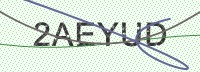 Enter CAPTCHA Image