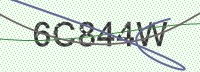 Enter CAPTCHA Image