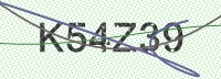 Enter CAPTCHA Image