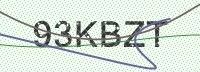 Enter CAPTCHA Image