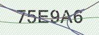 Enter CAPTCHA Image