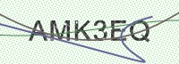 Enter CAPTCHA Image