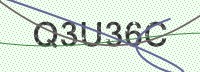 Enter CAPTCHA Image