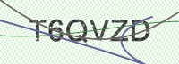 Enter CAPTCHA Image