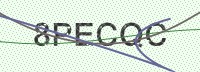 Enter CAPTCHA Image