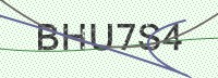 Enter CAPTCHA Image
