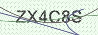 Enter CAPTCHA Image