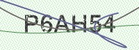 Enter CAPTCHA Image