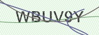 Enter CAPTCHA Image