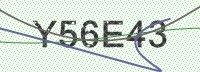Enter CAPTCHA Image