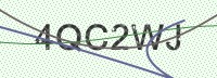 Enter CAPTCHA Image