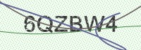 Enter CAPTCHA Image