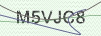 Enter CAPTCHA Image