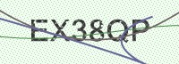 Enter CAPTCHA Image