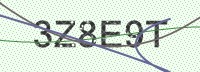 Enter CAPTCHA Image