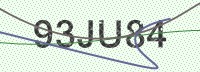 Enter CAPTCHA Image