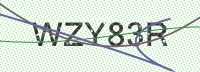 Enter CAPTCHA Image
