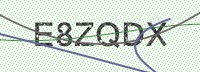 Enter CAPTCHA Image