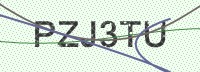 Enter CAPTCHA Image